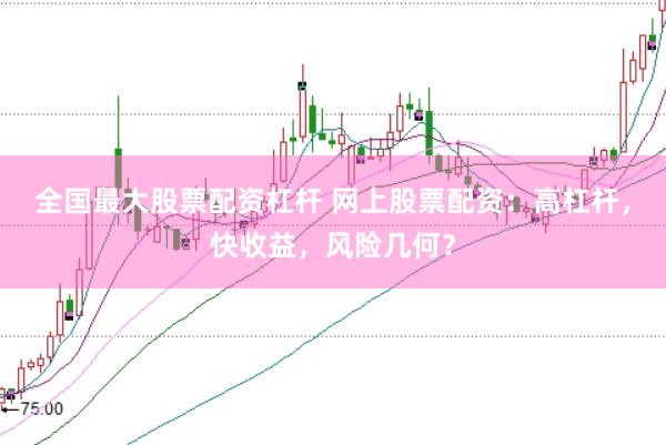 全国最大股票配资杠杆 网上股票配资：高杠杆，快收益，风险几何？