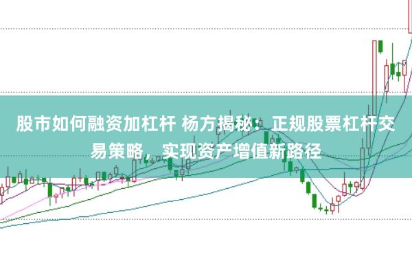 股市如何融资加杠杆 杨方揭秘：正规股票杠杆交易策略，实现资产增值新路径