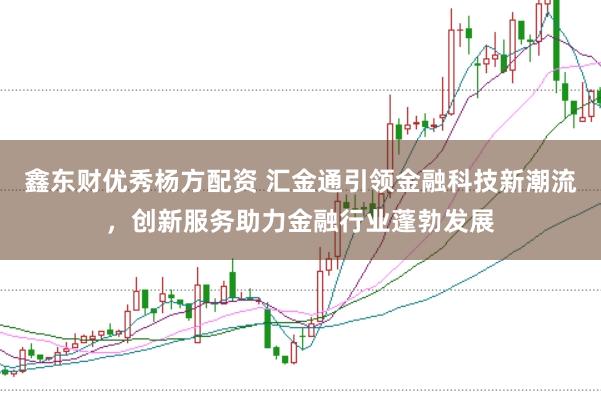 鑫东财优秀杨方配资 汇金通引领金融科技新潮流，创新服务助力金融行业蓬勃发展