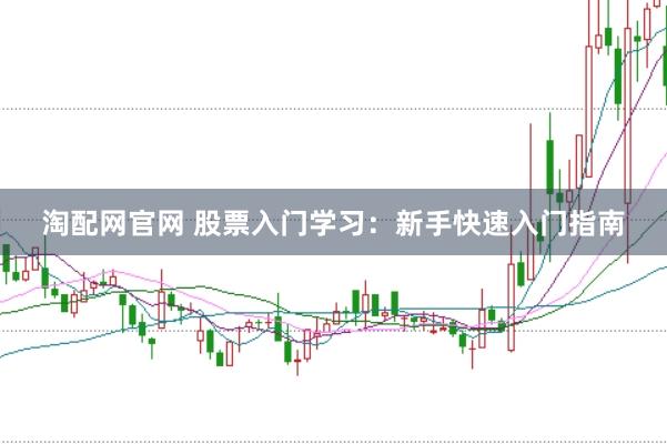 淘配网官网 股票入门学习：新手快速入门指南