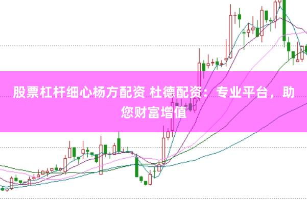 股票杠杆细心杨方配资 杜德配资：专业平台，助您财富增值