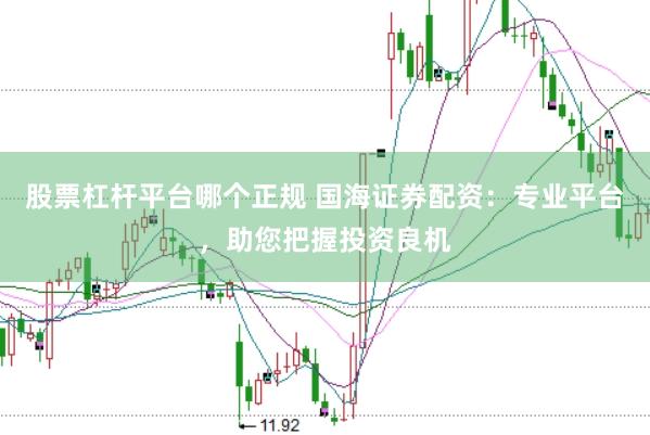 股票杠杆平台哪个正规 国海证券配资：专业平台，助您把握投资良机