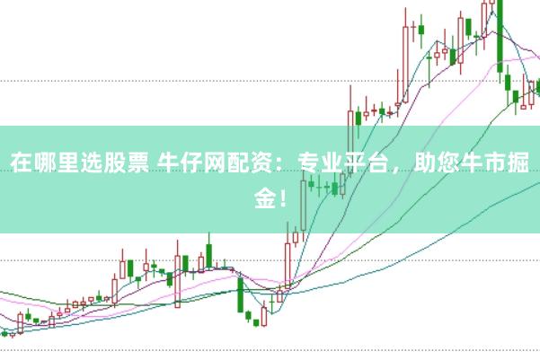 在哪里选股票 牛仔网配资：专业平台，助您牛市掘金！