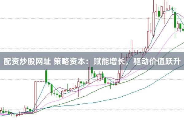 配资炒股网址 策略资本：赋能增长，驱动价值跃升
