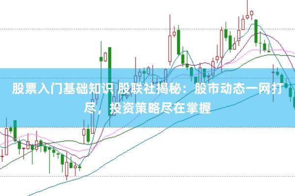 股票入门基础知识 股联社揭秘：股市动态一网打尽，投资策略尽在掌握