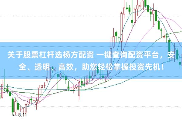 关于股票杠杆选杨方配资 一键查询配资平台，安全、透明、高效，助您轻松掌握投资先机！