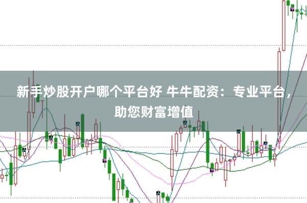 新手炒股开户哪个平台好 牛牛配资：专业平台，助您财富增值