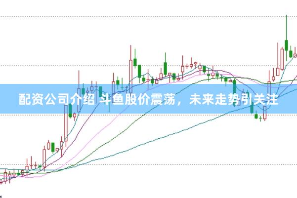 配资公司介绍 斗鱼股价震荡，未来走势引关注