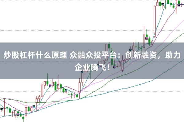 炒股杠杆什么原理 众融众投平台:创新融资,助力企业腾飞!