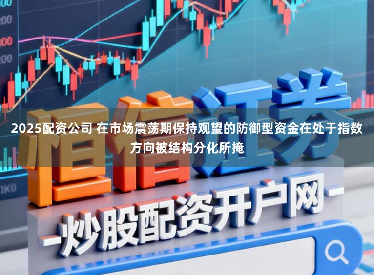 2025配资公司 在市场震荡期保持观望的防御型资金在处于指数方向被结构分化所掩
