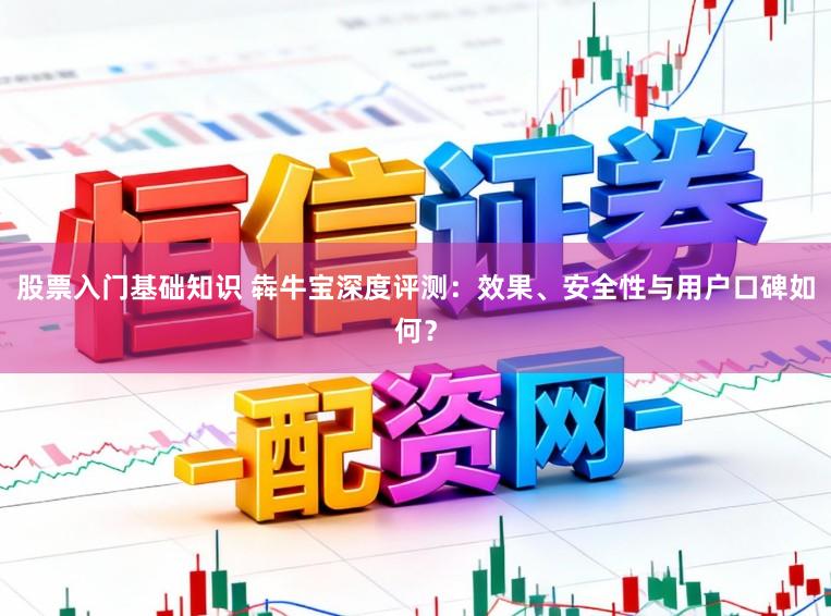 股票入门基础知识 犇牛宝深度评测：效果、安全性与用户口碑如何？